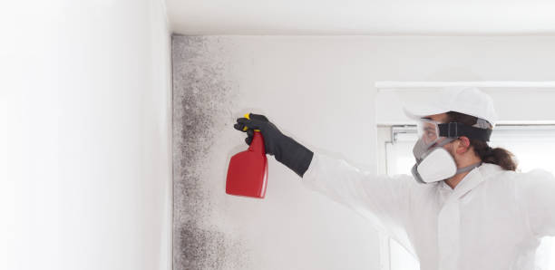 Best Post-Remediation Services in Clanton, AL