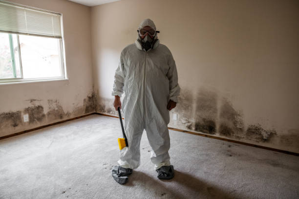Best Post-Remediation Services in Clanton, AL